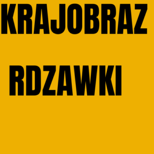 Żółte Czarne Odważne Mocne Logo – usługi (1)